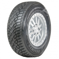 Delinte Winter WD42 